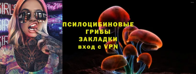 Псилоцибиновые грибы Psilocybe  Донской 