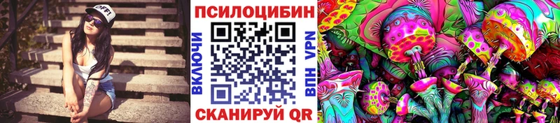 Галлюциногенные грибы Psilocybe  Донской 