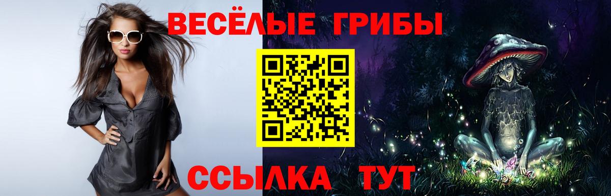 Донской  Галлюциногенные грибы Psilocybe  купить наркотик  Вход с VPN 